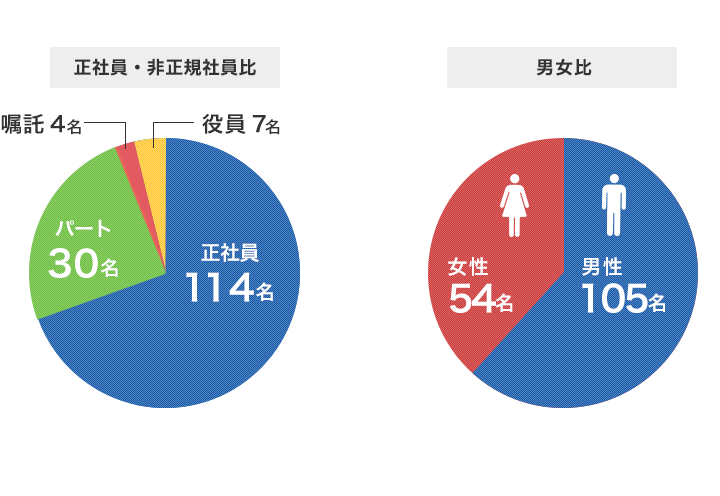 正社員・非正規社員比 / 男女比